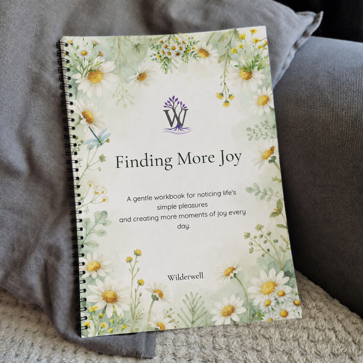 Finding More Joy