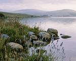 Coaching Support Packages - Wilderwell™