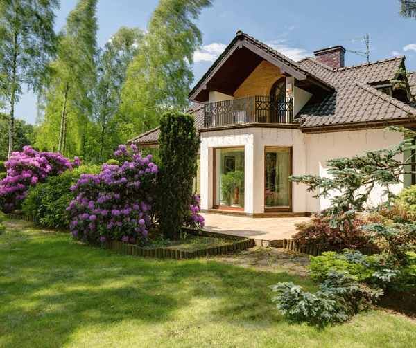 House with a garden and purple flowers on a sunny day